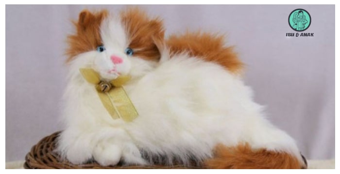 Boneka Kucing Anggora Coklat