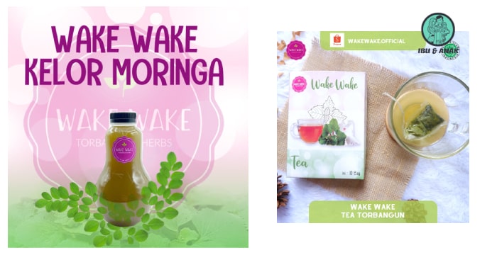 Wake Wake Official | Tea Mix Moringa