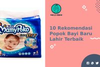 Rekomendasi Popok Terbaik