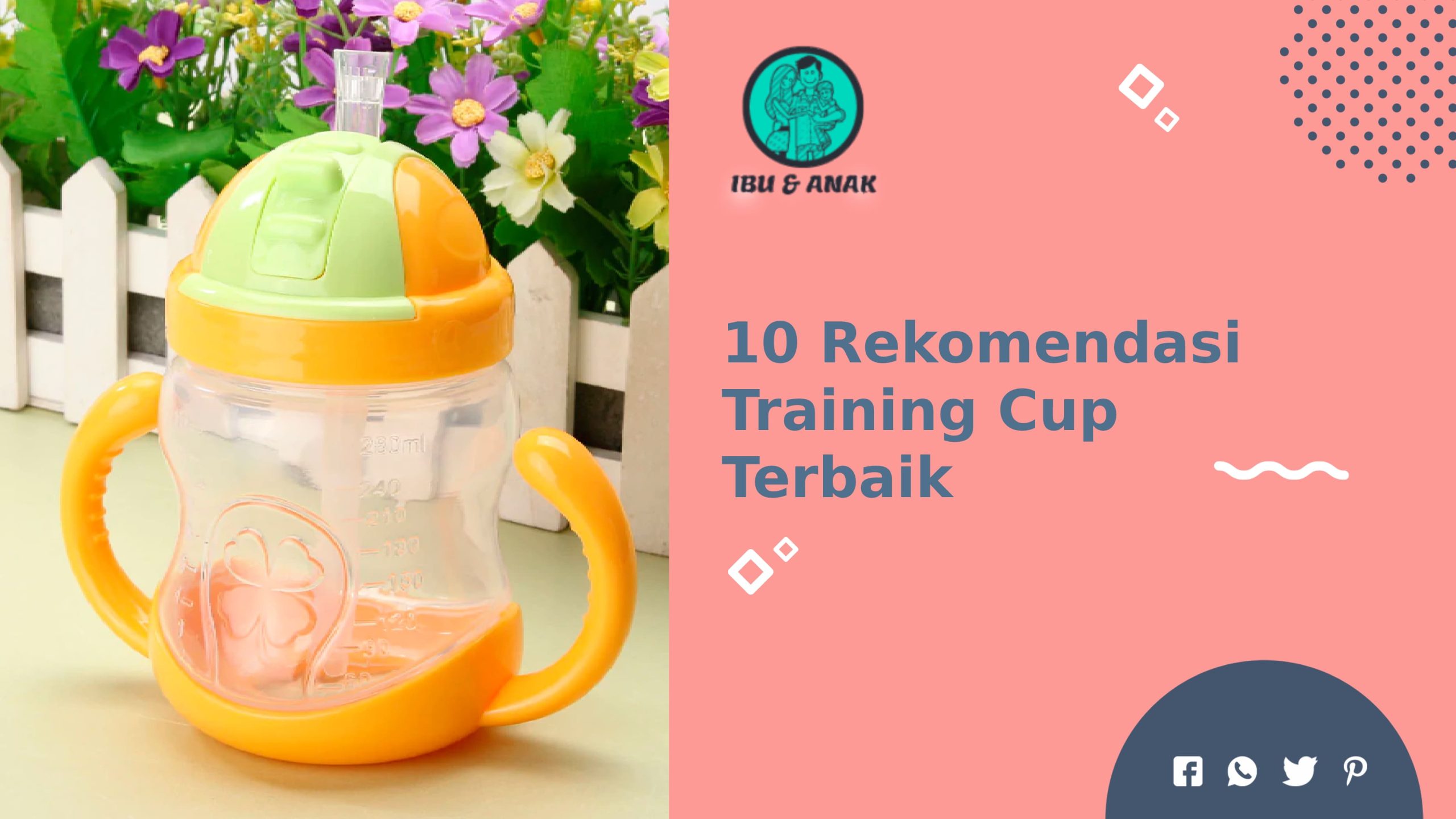 Rekomendasi Training Cup dengan Sedotan Terbaik