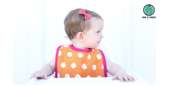 Miabelle Baby Bandana Bib Set 