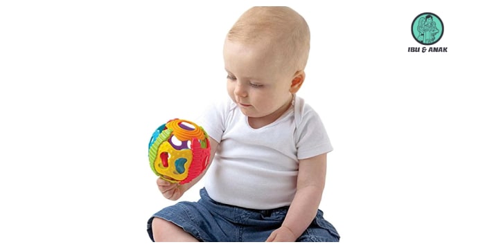 Playgro Shake Rattle & Roll Ball 