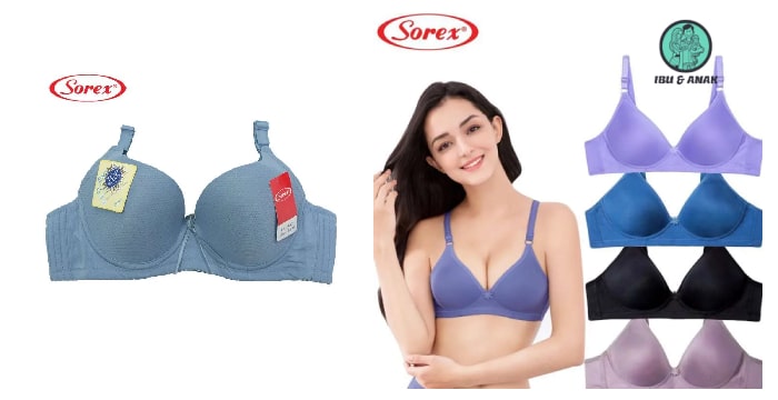 Sorex