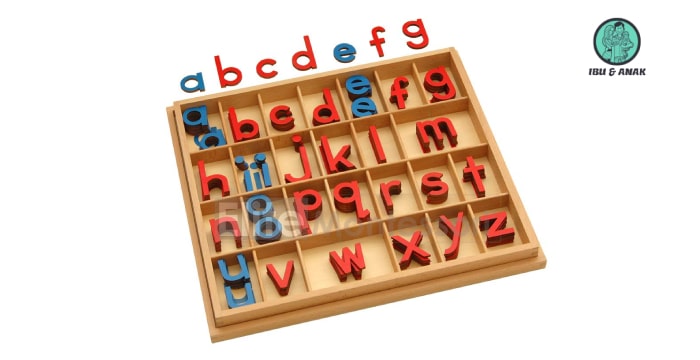 Moveable Alphabet (with Box)