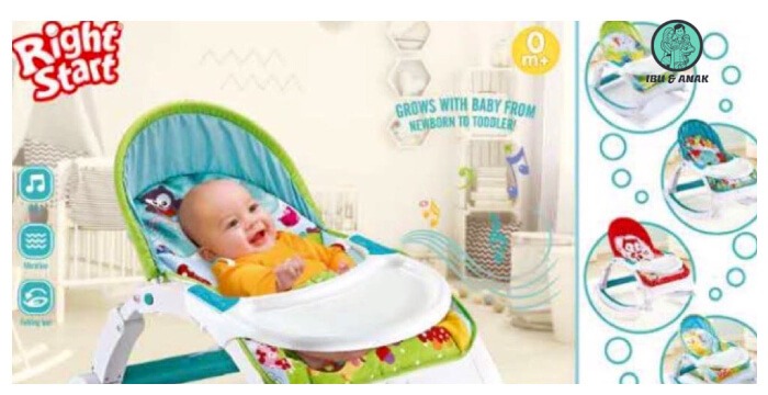 Newborn to Toddler Bouncer