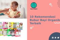 Rekomendasi Bubur Bayi Organik
