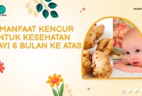 Manfaat Kencur untuk Kesehatan Bayi 6 Bulan ke Atas