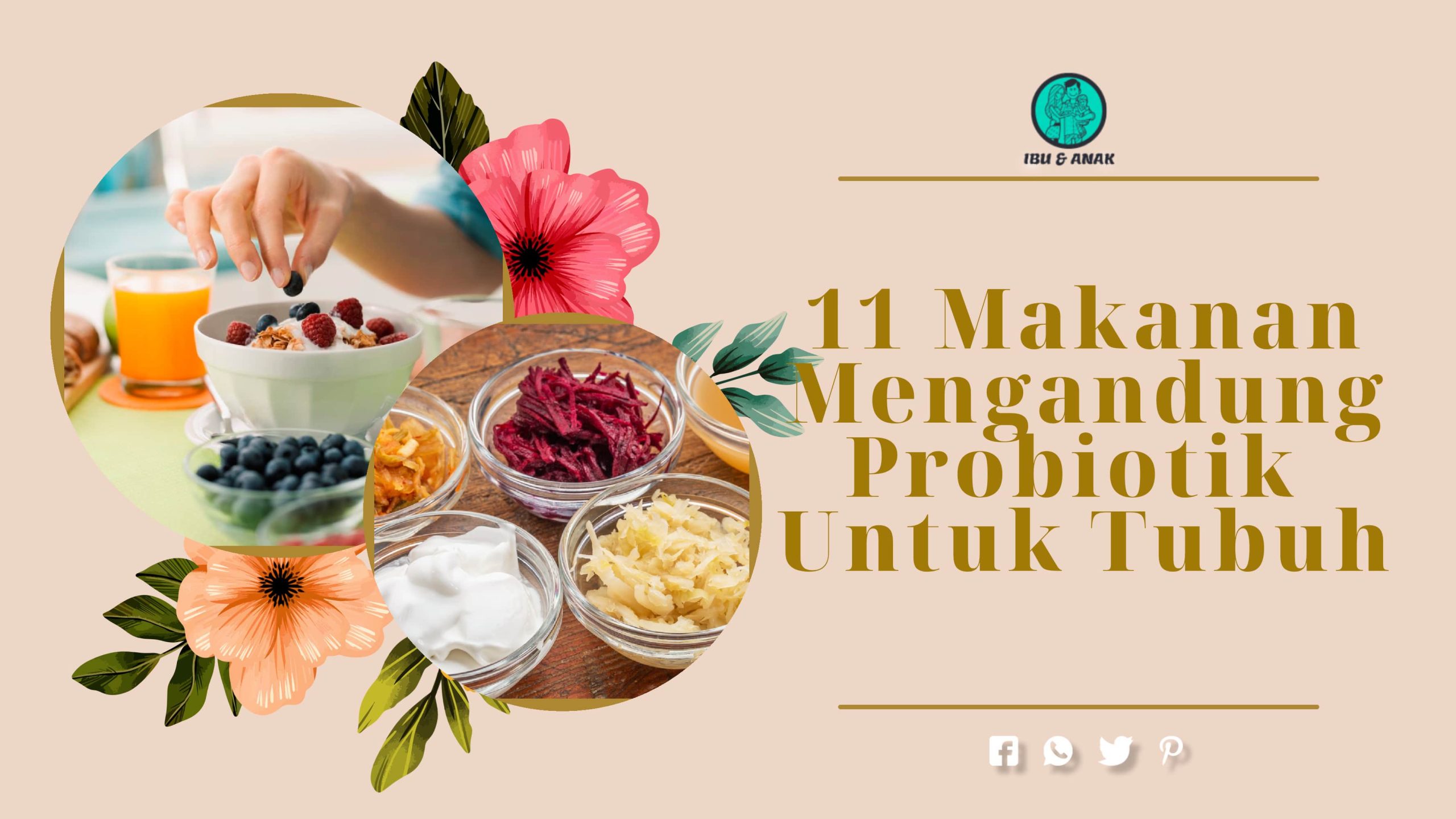 Makanan yang Mengandung Probiotik Baik Untuk Tubuh