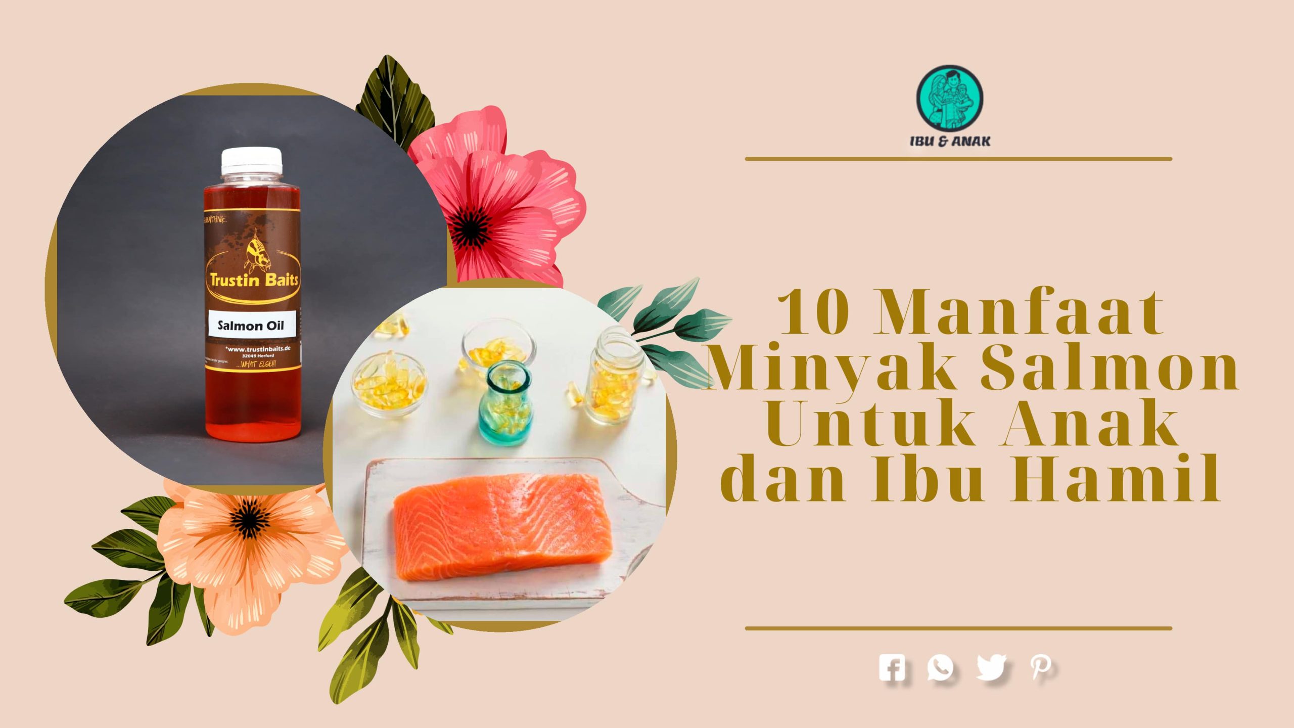 Manfaat Minyak Salmon Untuk Anak dan Ibu Hamil